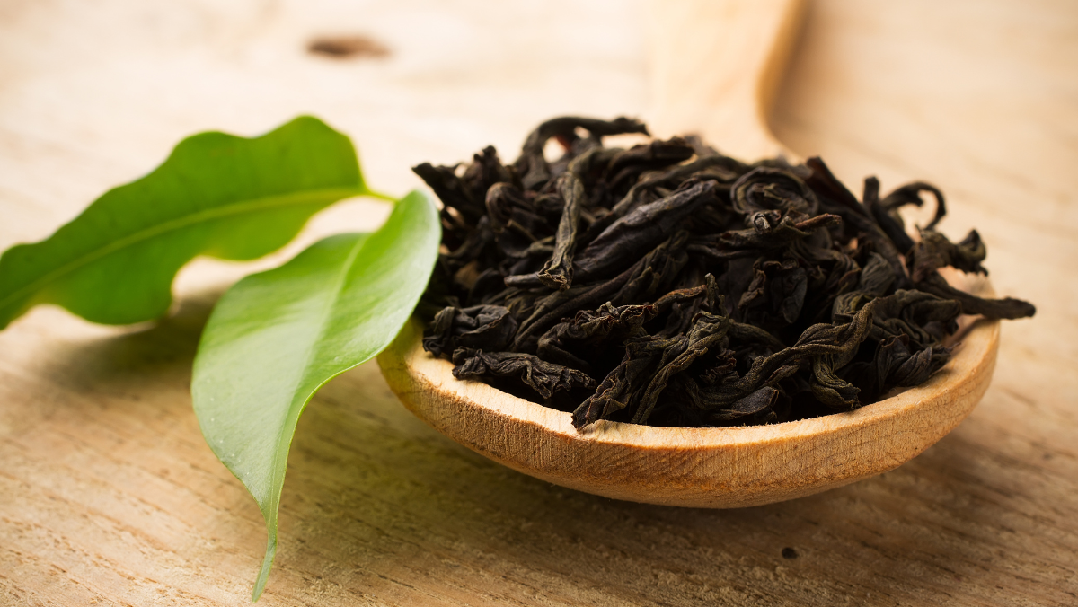 Mùa trà mới - Giảm ngay 20%