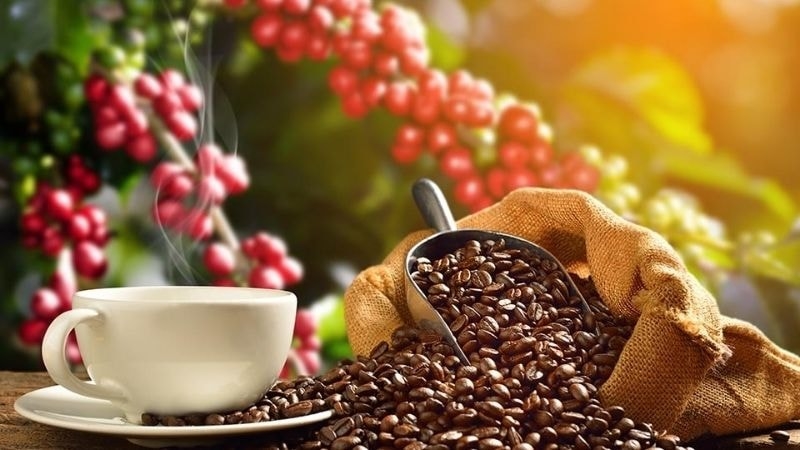 Quy trình Sản Xuất Cà Phê Đôi Dép